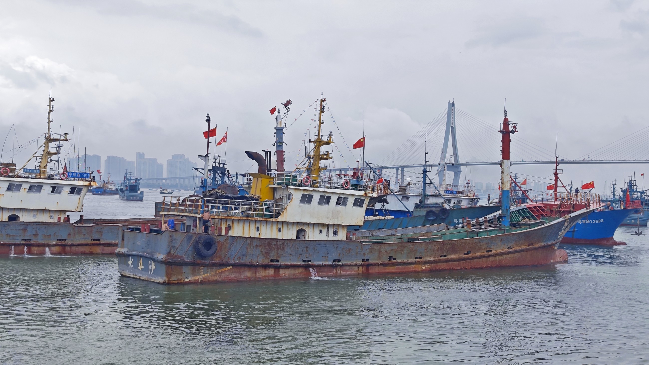 1724032448905335.jpg IMG_20240816_120458.jpg